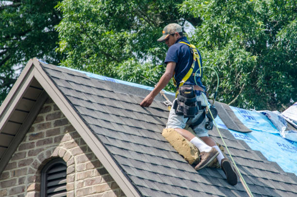 Best Roof Gutter Cleaning  in Morrilton, AR